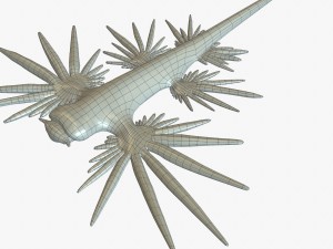 glaucus atlanticus 3D-Modell