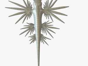 glaucus atlanticus 3D-Modell