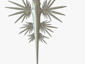 glaucus atlanticus 3D Model