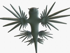 glaucus atlanticus 3D-Modell
