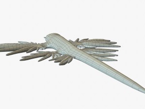 glaucus atlanticus 3D-Modell