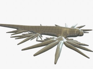 glaucus atlanticus 3D-Modell