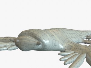 glaucus atlanticus 3D-Modell
