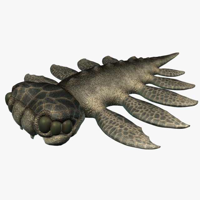 sea monster Modelo 3D .c4d .max .obj .3ds .fbx .stl .blend 