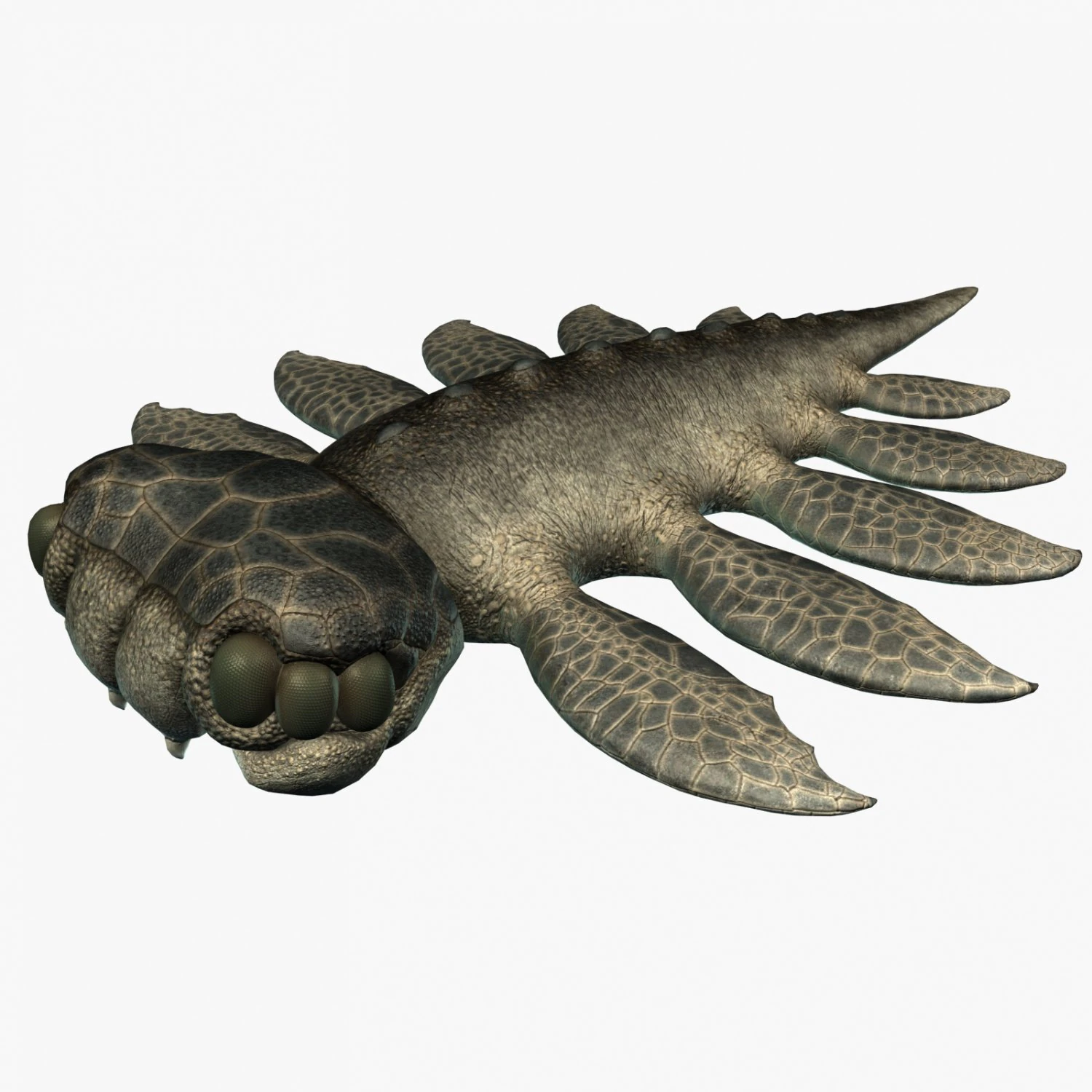 sea monster 3D Model .c4d .max .obj .3ds .fbx .stl .blend 