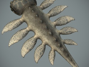 sea monster Modelo 3D