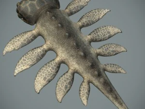 sea monster 3D Model