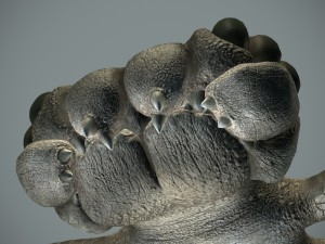 sea monster Modelo 3D