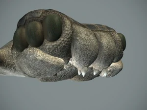 sea monster 3D Model