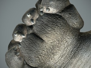 sea monster Modelo 3D