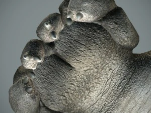 sea monster 3D Model