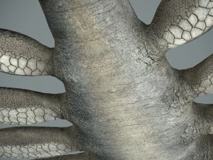 sea monster 3D Model