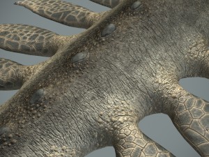sea monster Modelo 3D