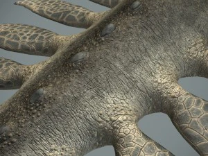 sea monster 3D Model
