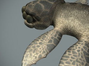 sea monster Modelo 3D