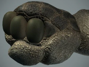 sea monster 3D Model