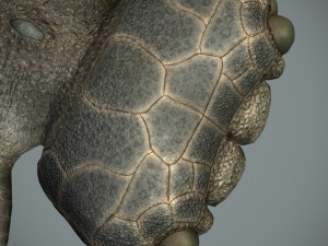 sea monster Modelo 3D