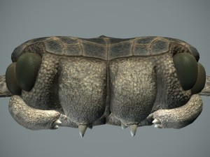 sea monster Modelo 3D