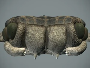 sea monster 3D Model