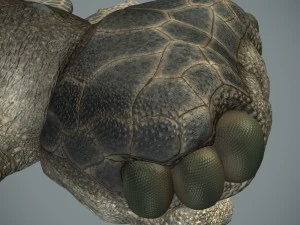 sea monster 3D Model