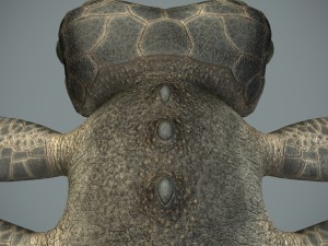 sea monster Modelo 3D