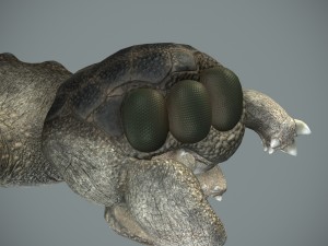 sea monster Modelo 3D