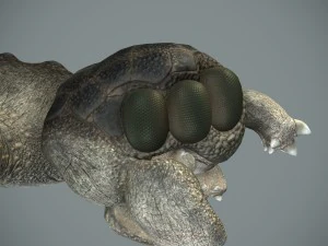 sea monster 3D Model