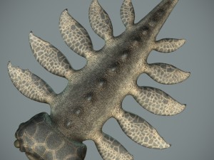 sea monster Modelo 3D