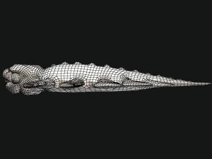 sea monster 3D Model