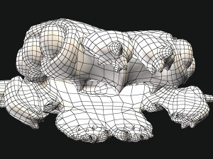 sea monster Modelo 3D