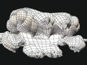 sea monster 3D Model