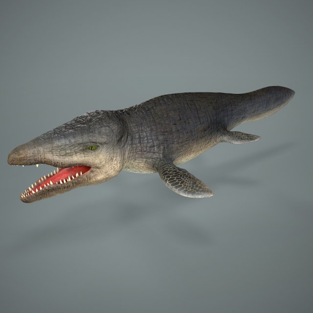 mosasaurus 3D Model .c4d .max .obj .3ds .fbx .stl .blend 
