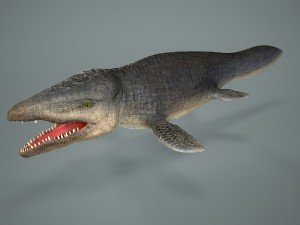 mosasaurus 3D मॉडल