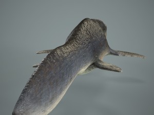 mosasaurus 3D Model