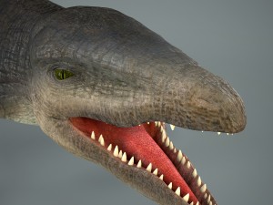 mosasaurus 3D Model