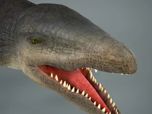 mosasaurus 3D Model