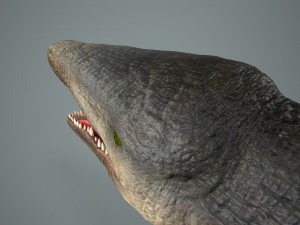 mosasaurus 3D Model