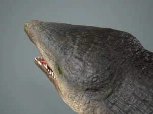 mosasaurus 3D Model