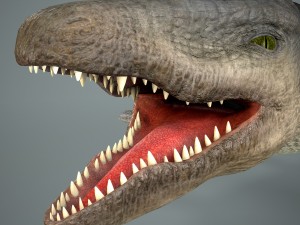 mosasaurus 3D Model