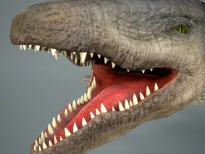 mosasaurus 3D Model