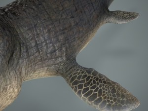 mosasaurus 3D Model