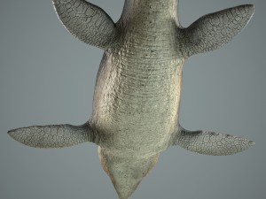 mosasaurus 3D Model