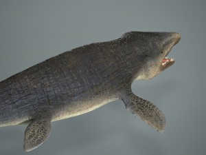 mosasaurus 3D Model