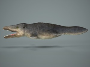 mosasaurus 3D Model