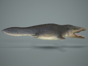 mosasaurus 3D Model