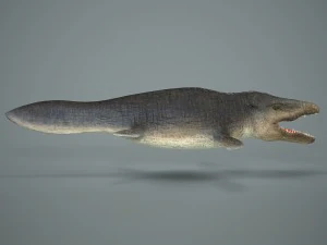 mosasaurus 3D Model