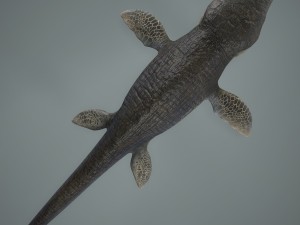 mosasaurus 3D Model