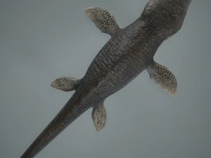 mosasaurus 3D Model