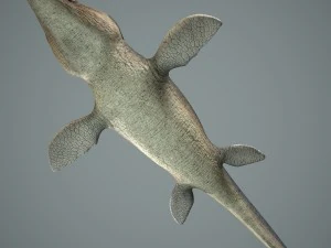 mosasaurus 3D Model