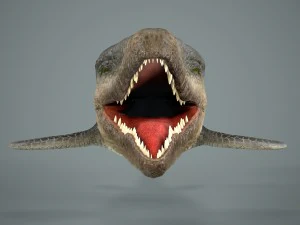 mosasaurus 3D Model